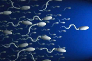 Фото:Лечение обструктивной азооспермии